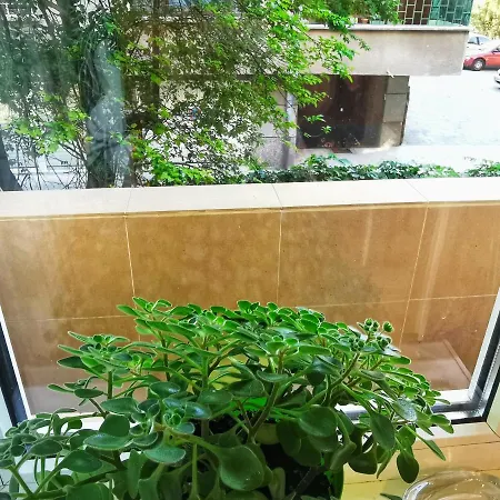 Rila Apartment *